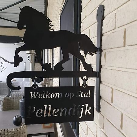 Luxe Gastenkamer Met Living En Keuken Bij Friezen Paarden Stal Pellendijk Westendorp Kültér fotó
