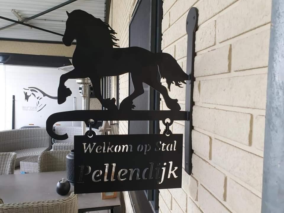 Luxe Gastenkamer Met Living En Keuken Bij Friezen Paarden Stal Pellendijk Westendorp Kültér fotó