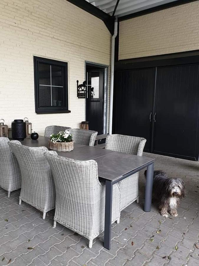 Luxe Gastenkamer Met Living En Keuken Bij Friezen Paarden Stal Pellendijk Westendorp Kültér fotó