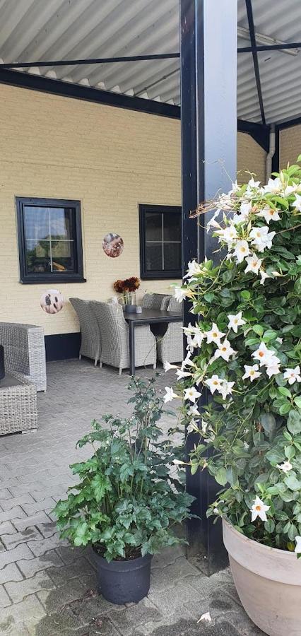 Luxe Gastenkamer Met Living En Keuken Bij Friezen Paarden Stal Pellendijk Westendorp Kültér fotó